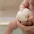 Konjac Sponge